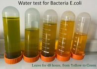 100 pasków Zestaw do testowania bakterii PLA, paski testowe PET E Coli